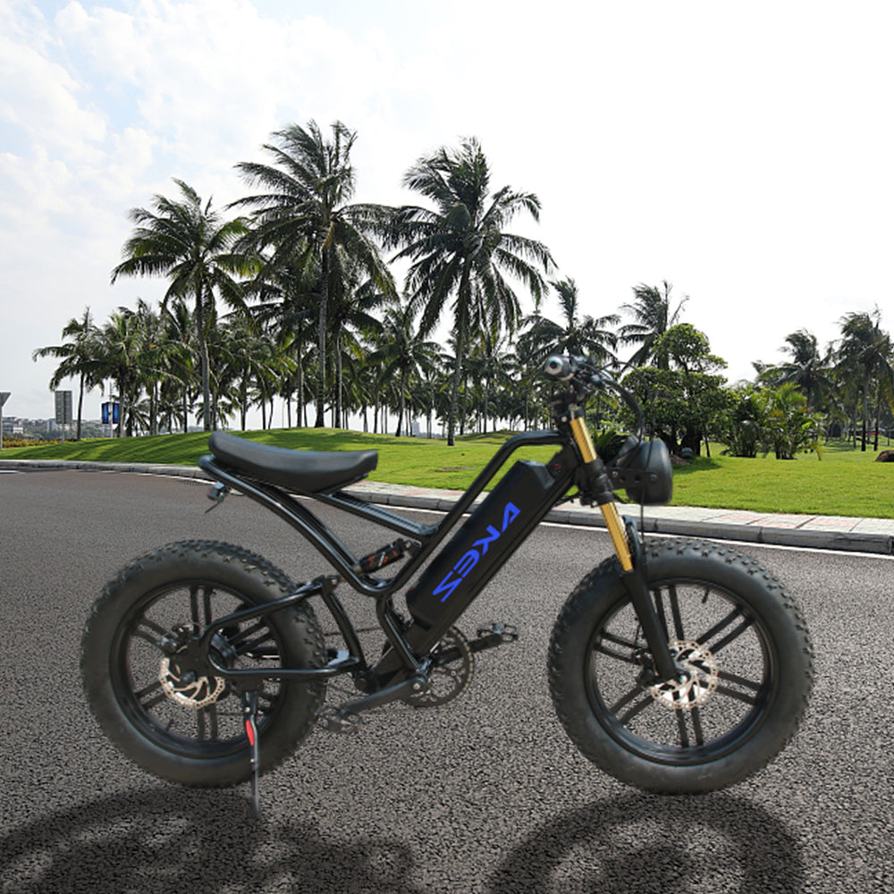 VOLTUS OSP 750W 48V 17.5Ah 20x4.0 Inches Electric Bike 7 Speeds Snow E-bike