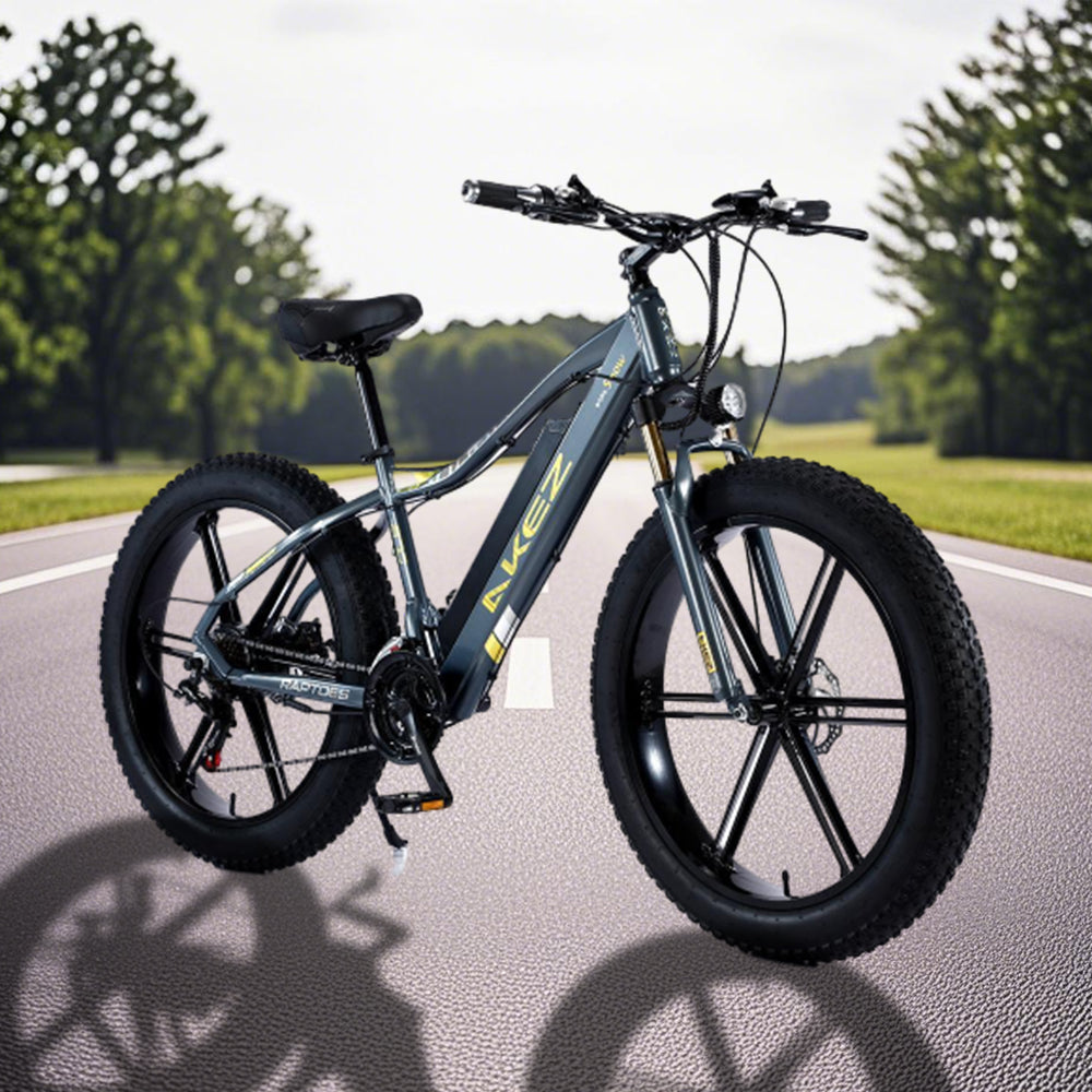 VOLTUS 750W 48V ML1P Snow Bicycle 26-inches Beach Electric Bike Motorized eBike Battery