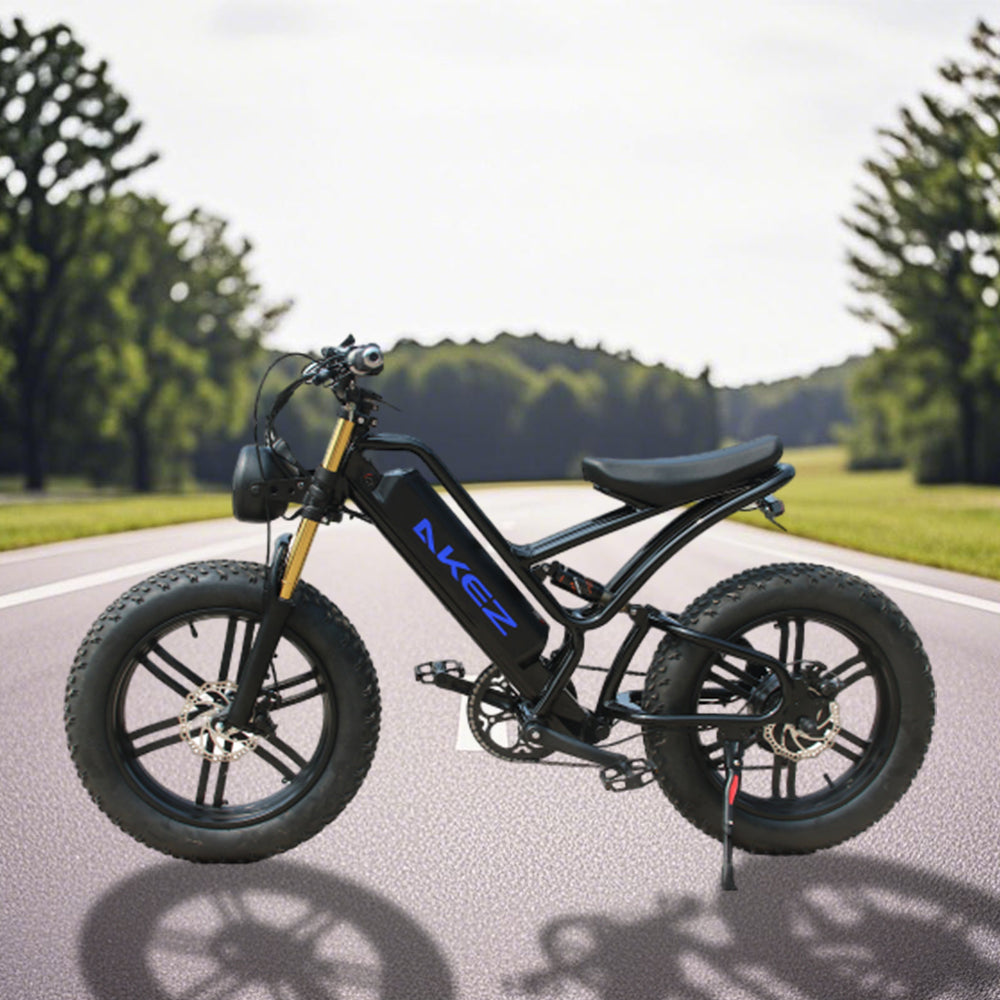 VOLTUS OSP 750W 48V 17.5Ah 20x4.0 Inches Electric Bike 7 Speeds Snow E-bike