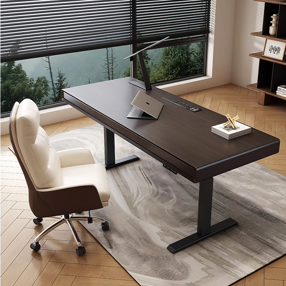 LUXORA DR1100 140/160/180cm Minimalist Style Manchurian Ash Veneer  Electric Height-Adjustable Desk