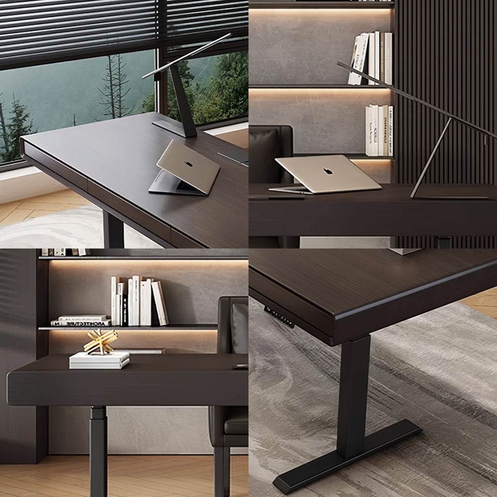 LUXORA DR1100 140/160/180cm Minimalist Style Manchurian Ash Veneer  Electric Height-Adjustable Desk
