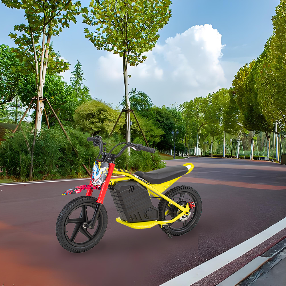 GLIDER HALLEY MY-12 350W 247V 5.2/6.0/7.8AH  Lithium Battery  Electric Motorbike/Motorcycle/Scooter Cruise at 25km/h - Unlock More Power (Details Inside)*