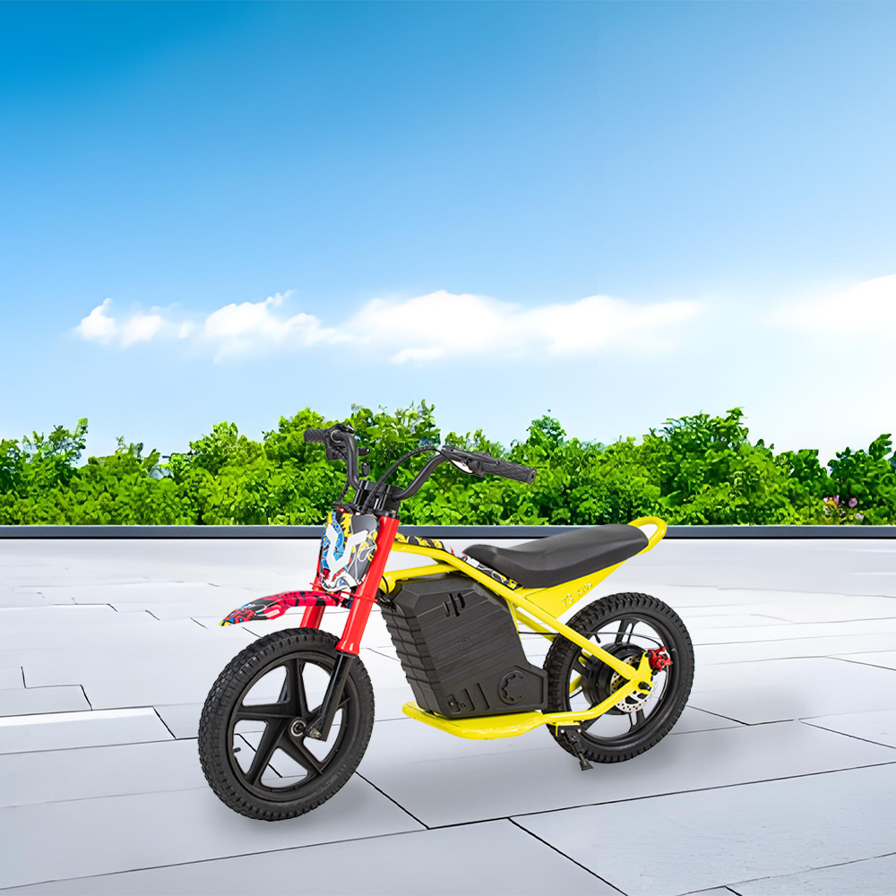 GLIDER HALLEY MY-12 350W 247V 5.2/6.0/7.8AH  Lithium Battery  Electric Motorbike/Motorcycle/Scooter Cruise at 25km/h - Unlock More Power (Details Inside)*