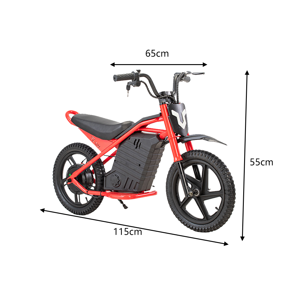 GLIDER HALLEY MY-12 350W 247V 5.2/6.0/7.8AH  Lithium Battery  Electric Motorbike/Motorcycle/Scooter Cruise at 25km/h - Unlock More Power (Details Inside)*