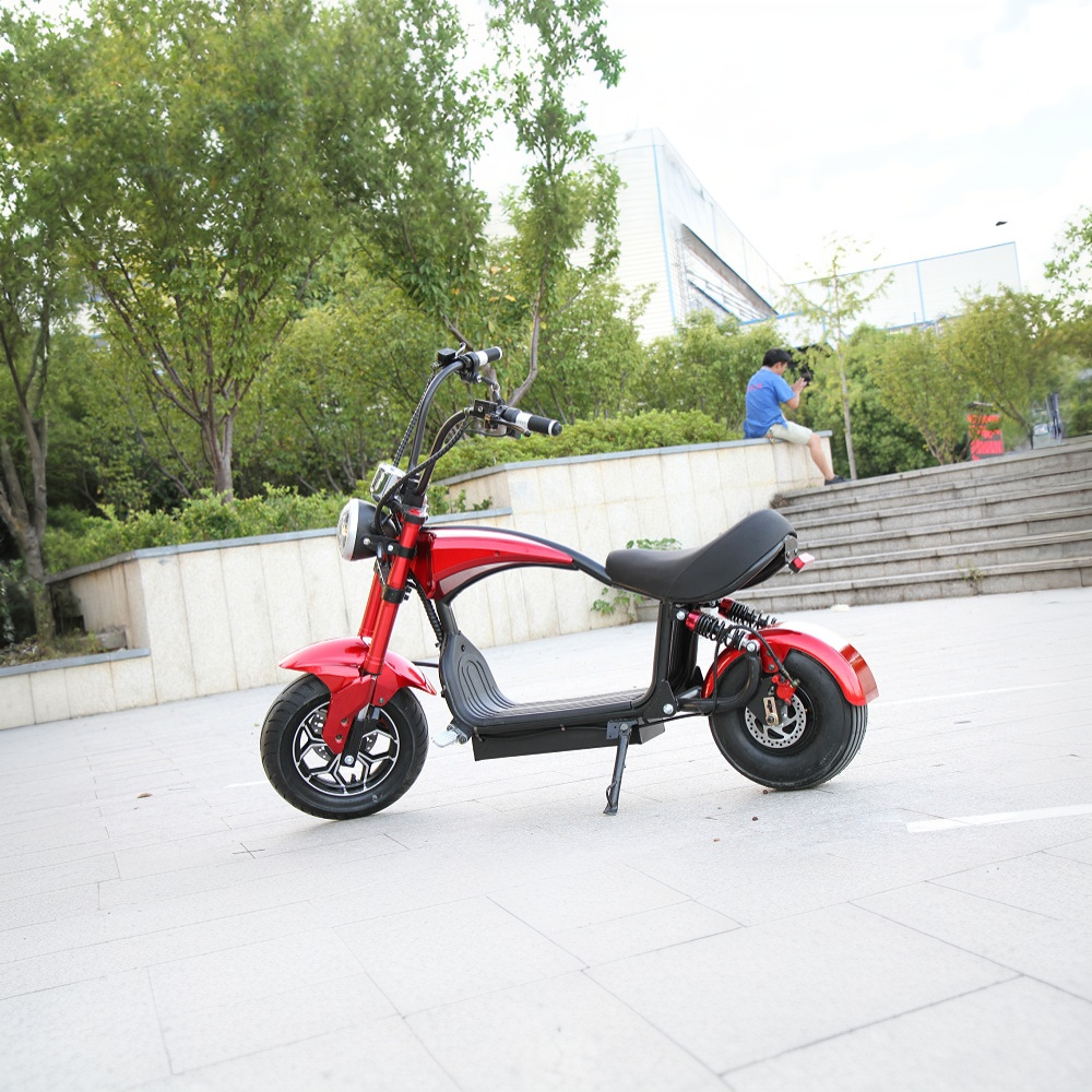 GLIDER HALLEY MY-M13 1000-1500W 48V 12-20AH  Lithium Battery Electric Motorbike/Motorcycle/Scooter Cruise at 25km/h - Unlock More Power (Details Inside)*