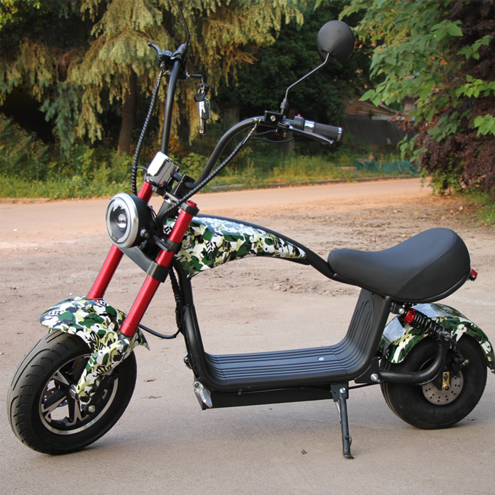 GLIDER HALLEY MY-M13 1000-1500W 48V 12-20AH  Lithium Battery Electric Motorbike/Motorcycle/Scooter Cruise at 25km/h - Unlock More Power (Details Inside)*