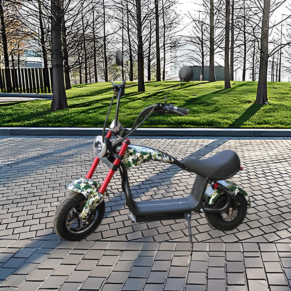 GLIDER HALLEY MY-M13 1000-1500W 48V 12-20AH  Lithium Battery Electric Motorbike/Motorcycle/Scooter Cruise at 25km/h - Unlock More Power (Details Inside)*