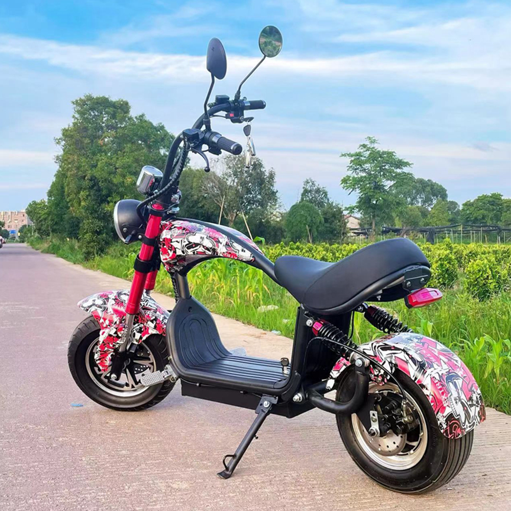 GLIDER HALLEY MY-M13 1000-1500W 48V 12-20AH  Lithium Battery Electric Motorbike/Motorcycle/Scooter Cruise at 25km/h - Unlock More Power (Details Inside)*