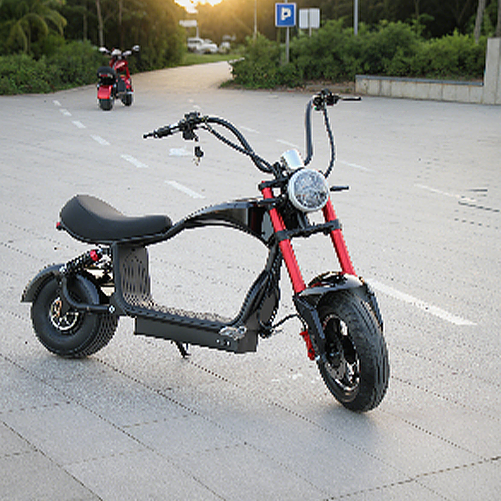 GLIDER HALLEY MY-M13 1000-1500W 48V 12-20AH  Lithium Battery Electric Motorbike/Motorcycle/Scooter Cruise at 25km/h - Unlock More Power (Details Inside)*