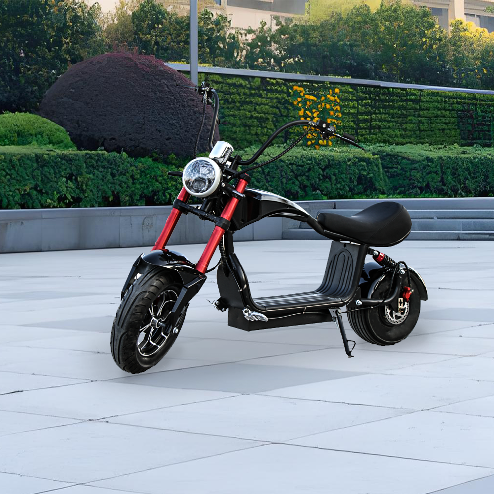 GLIDER HALLEY MY-M13 1000-1500W 48V 12-20AH  Lithium Battery Electric Motorbike/Motorcycle/Scooter Cruise at 25km/h - Unlock More Power (Details Inside)*
