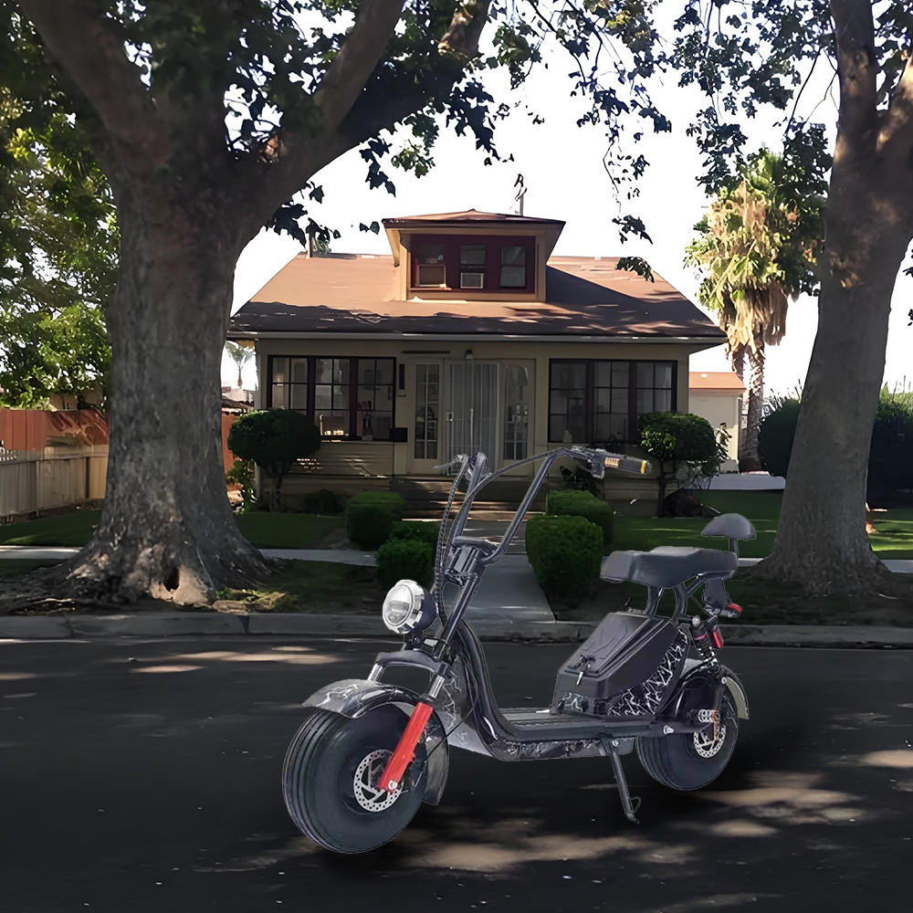 GLIDER HALLEY MY X17 1000W 48V 12-20AH  Lithium Battery Electric Motorbike/Motorcycle/Scooter Cruise at 25km/h - Unlock More Power (Details Inside)*