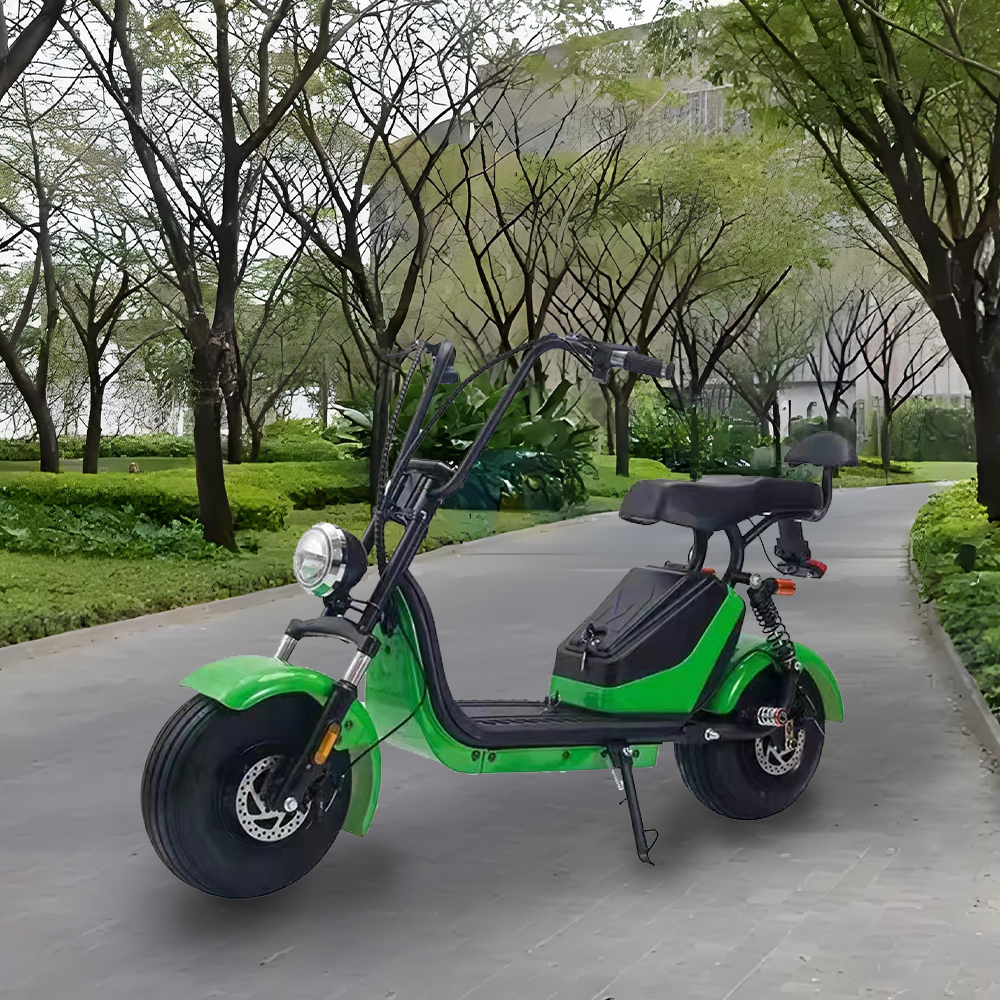 GLIDER HALLEY MY X17 1000W 48V 12-20AH  Lithium Battery Electric Motorbike/Motorcycle/Scooter Cruise at 25km/h - Unlock More Power (Details Inside)*