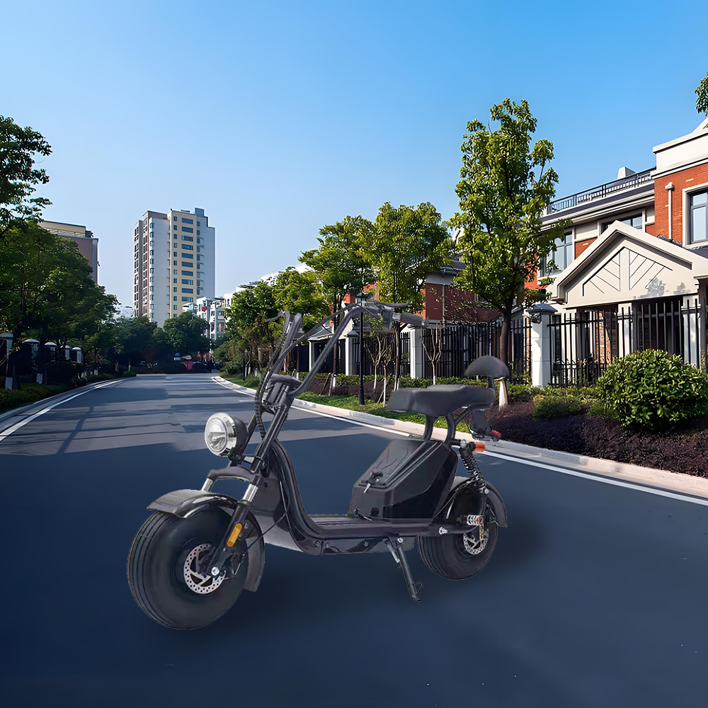 GLIDER HALLEY MY X17 1000W 48V 12-20AH  Lithium Battery Electric Motorbike/Motorcycle/Scooter Cruise at 25km/h - Unlock More Power (Details Inside)*