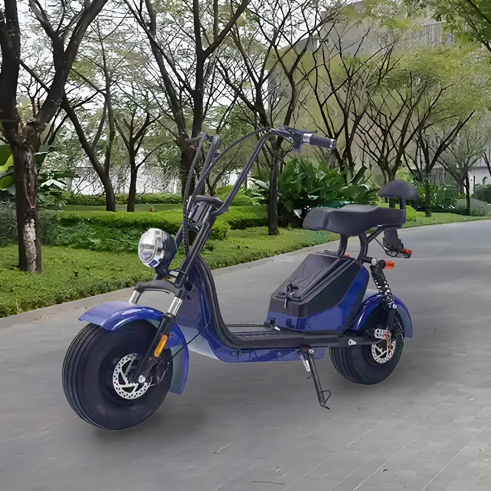 GLIDER HALLEY MY X17 1000W 48V 12-20AH  Lithium Battery Electric Motorbike/Motorcycle/Scooter Cruise at 25km/h - Unlock More Power (Details Inside)*