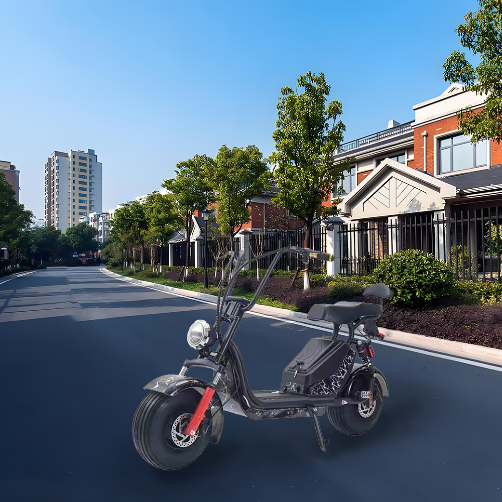 GLIDER HALLEY MY X17 1000W 48V 12-20AH  Lithium Battery Electric Motorbike/Motorcycle/Scooter Cruise at 25km/h - Unlock More Power (Details Inside)*