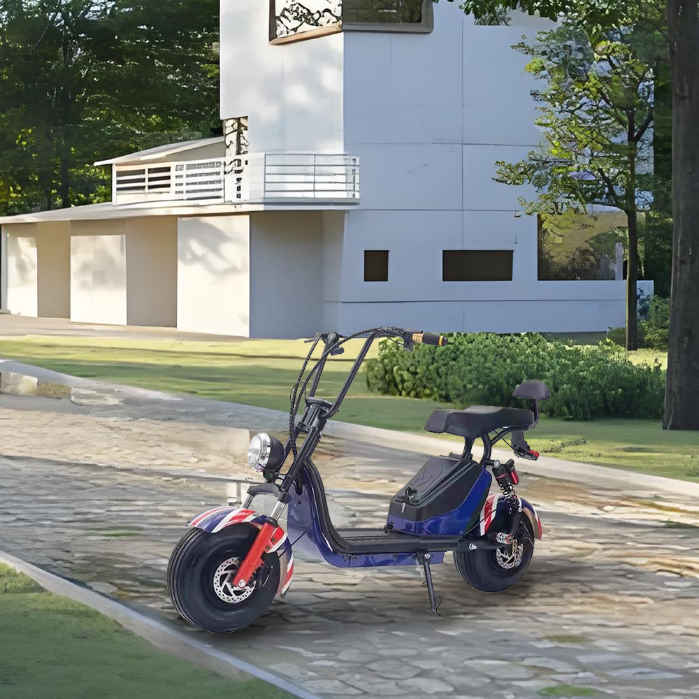 GLIDER HALLEY MY X17 1000W 48V 12-20AH  Lithium Battery Electric Motorbike/Motorcycle/Scooter Cruise at 25km/h - Unlock More Power (Details Inside)*