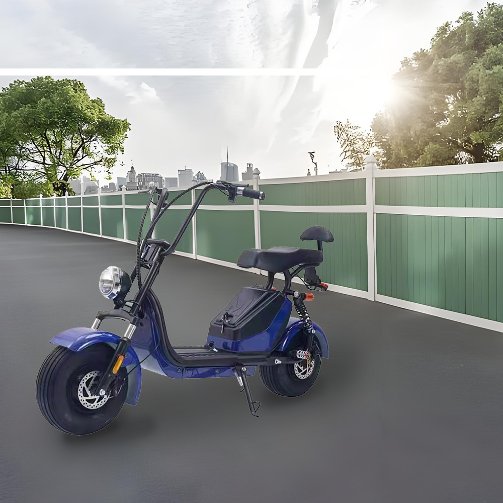 GLIDER HALLEY MY X17 1000W 48V 12-20AH  Lithium Battery Electric Motorbike/Motorcycle/Scooter Cruise at 25km/h - Unlock More Power (Details Inside)*