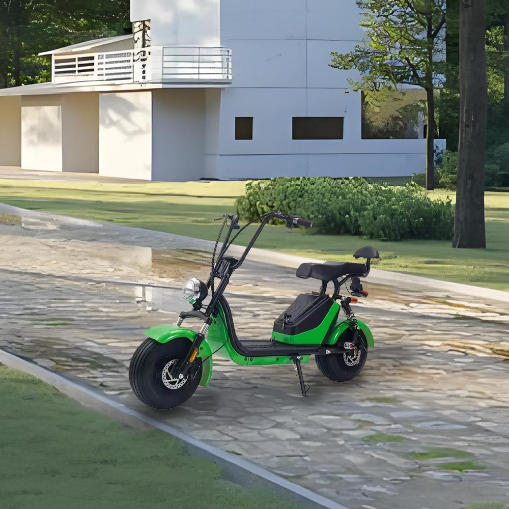 GLIDER HALLEY MY X17 1000W 48V 12-20AH  Lithium Battery Electric Motorbike/Motorcycle/Scooter Cruise at 25km/h - Unlock More Power (Details Inside)*