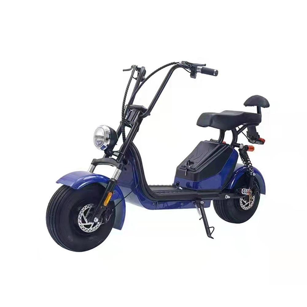 GLIDER HALLEY MY X17 1000W 48V 12-20AH  Lithium Battery Electric Motorbike/Motorcycle/Scooter Cruise at 25km/h - Unlock More Power (Details Inside)*