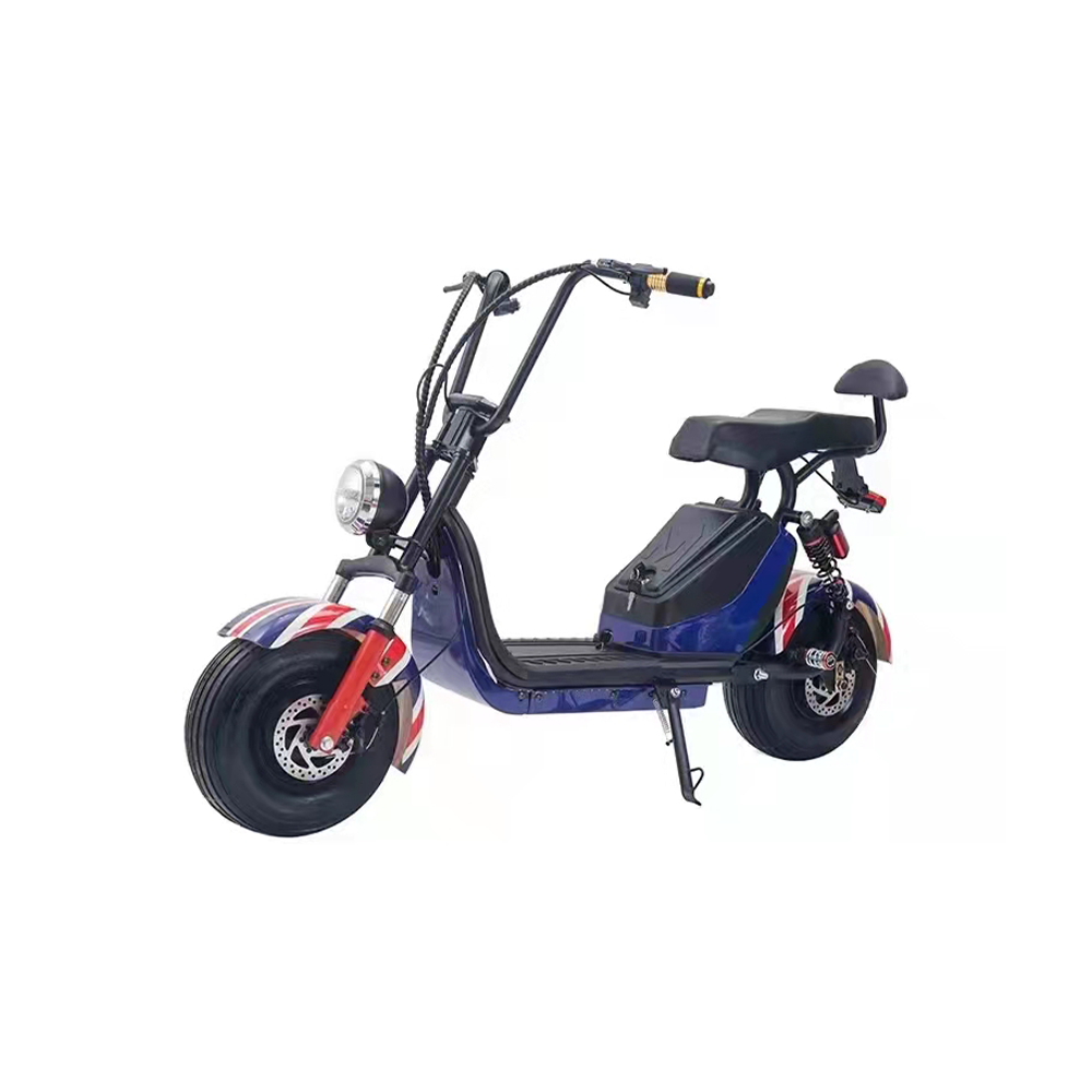 GLIDER HALLEY MY X17 1000W 48V 12-20AH  Lithium Battery Electric Motorbike/Motorcycle/Scooter Cruise at 25km/h - Unlock More Power (Details Inside)*
