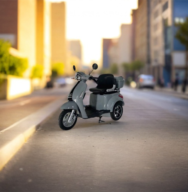 ROLLUX F1 800W 3 Wheels Mobility Scooter 300KG Weight Capacity