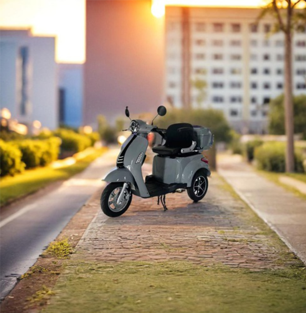 ROLLUX F1 800W 3 Wheels Mobility Scooter 300KG Weight Capacity