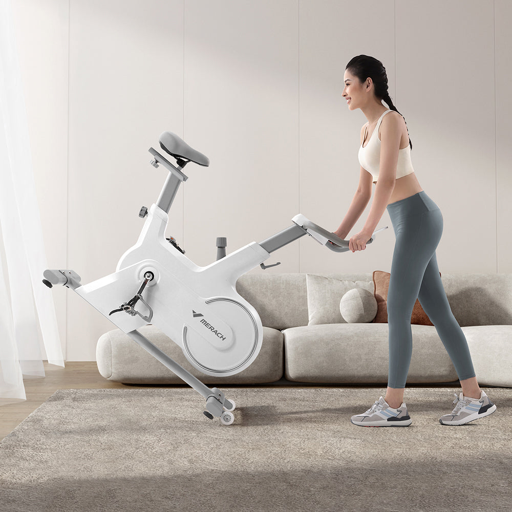 FITPRO MR667 6 KG Flywheel Spin Bike Home Gym Train - White