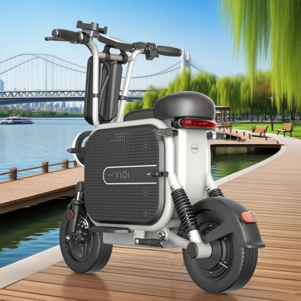AKEZ Dudu10 500W 48V 13A Foldable Electric Scooter High-Carbon Steel Frame - Black & White
