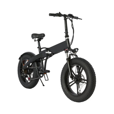[10%OFF PRE-SALE] AKEZ G20 350W 48V 20-inch Electric Bike Aluminium Alloy Electric Snow Bike - Black (Dispatch in 8 Weeks) AKEZ