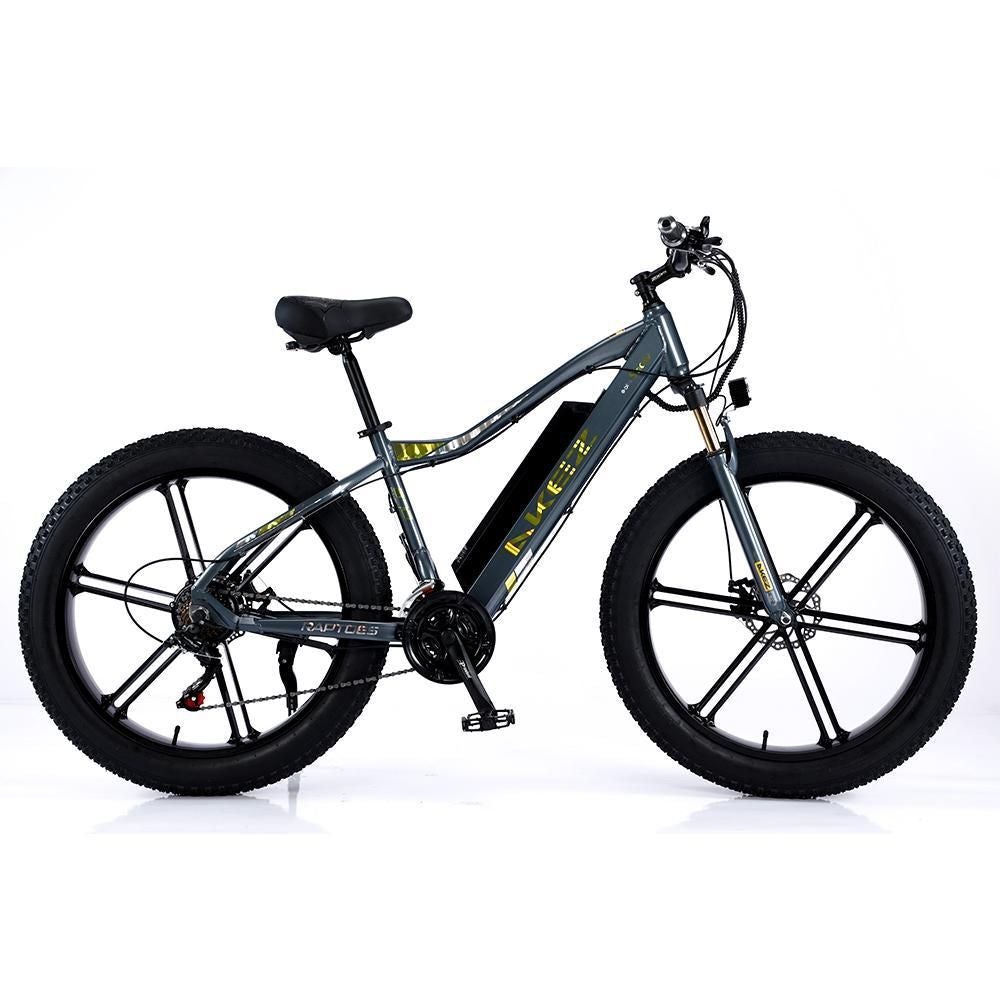 VOLTUS 750W 48V ML1P Snow Bicycle 26-inches Beach Electric Bike Motorized eBike Battery