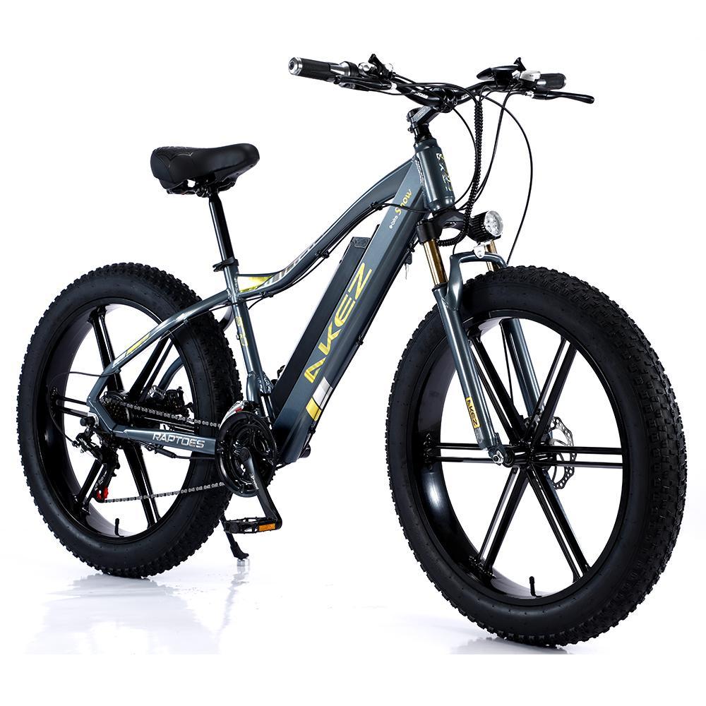VOLTUS 750W 48V ML1P Snow Bicycle 26-inches Beach Electric Bike Motorized eBike Battery