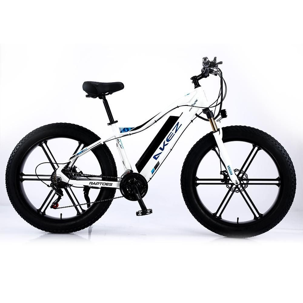 VOLTUS 750W 48V ML1P Snow Bicycle 26-inches Beach Electric Bike Motorized eBike Battery