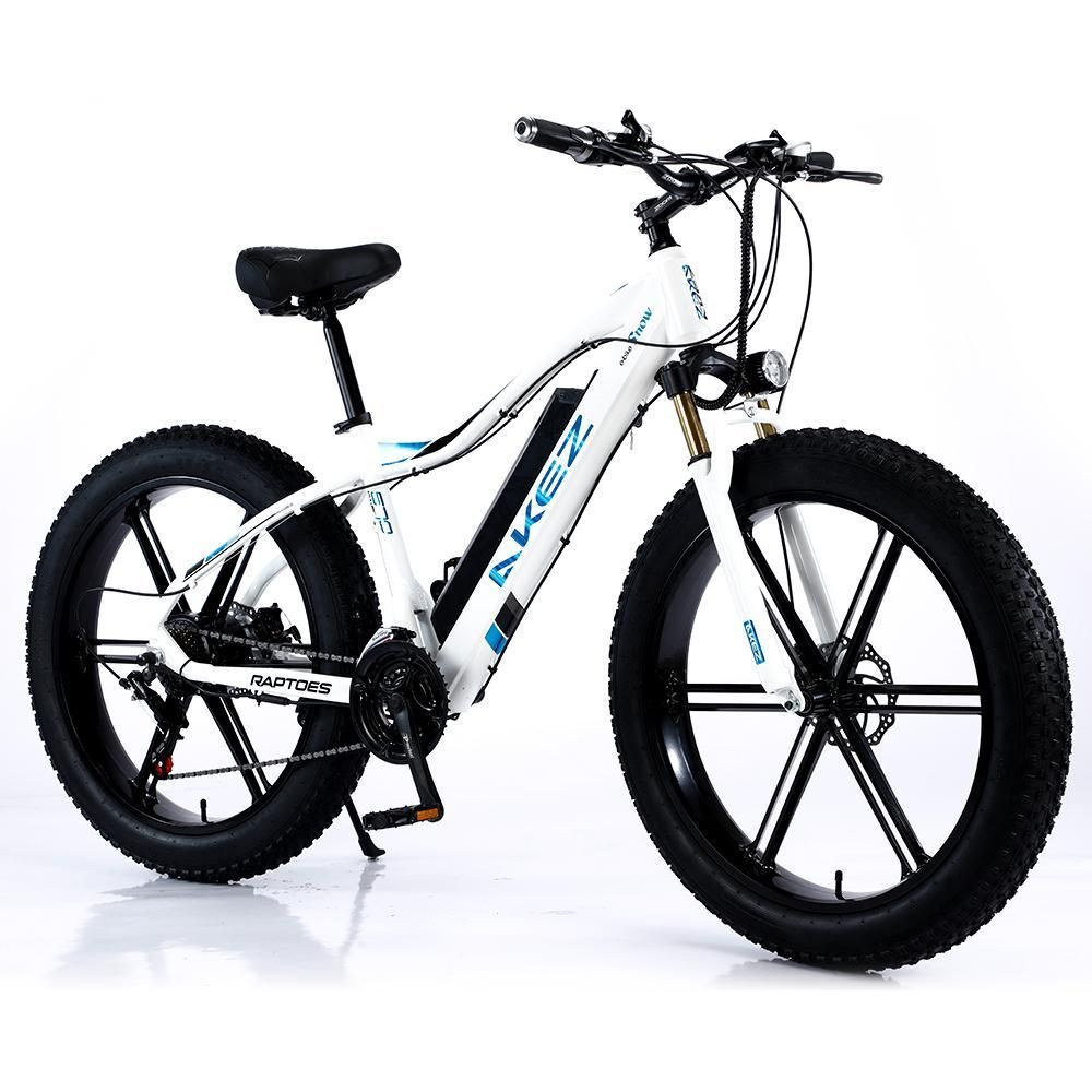 VOLTUS 750W 48V ML1P Snow Bicycle 26-inches Beach Electric Bike Motorized eBike Battery