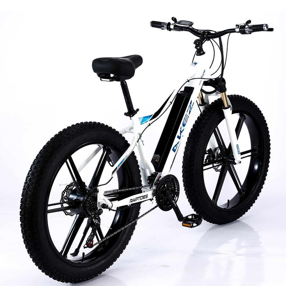 VOLTUS 750W 48V ML1P Snow Bicycle 26-inches Beach Electric Bike Motorized eBike Battery