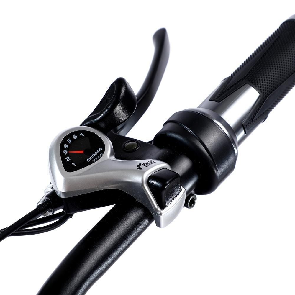 VOLTUS 750W 48V ML1P Snow Bicycle 26-inches Beach Electric Bike Motorized eBike Battery