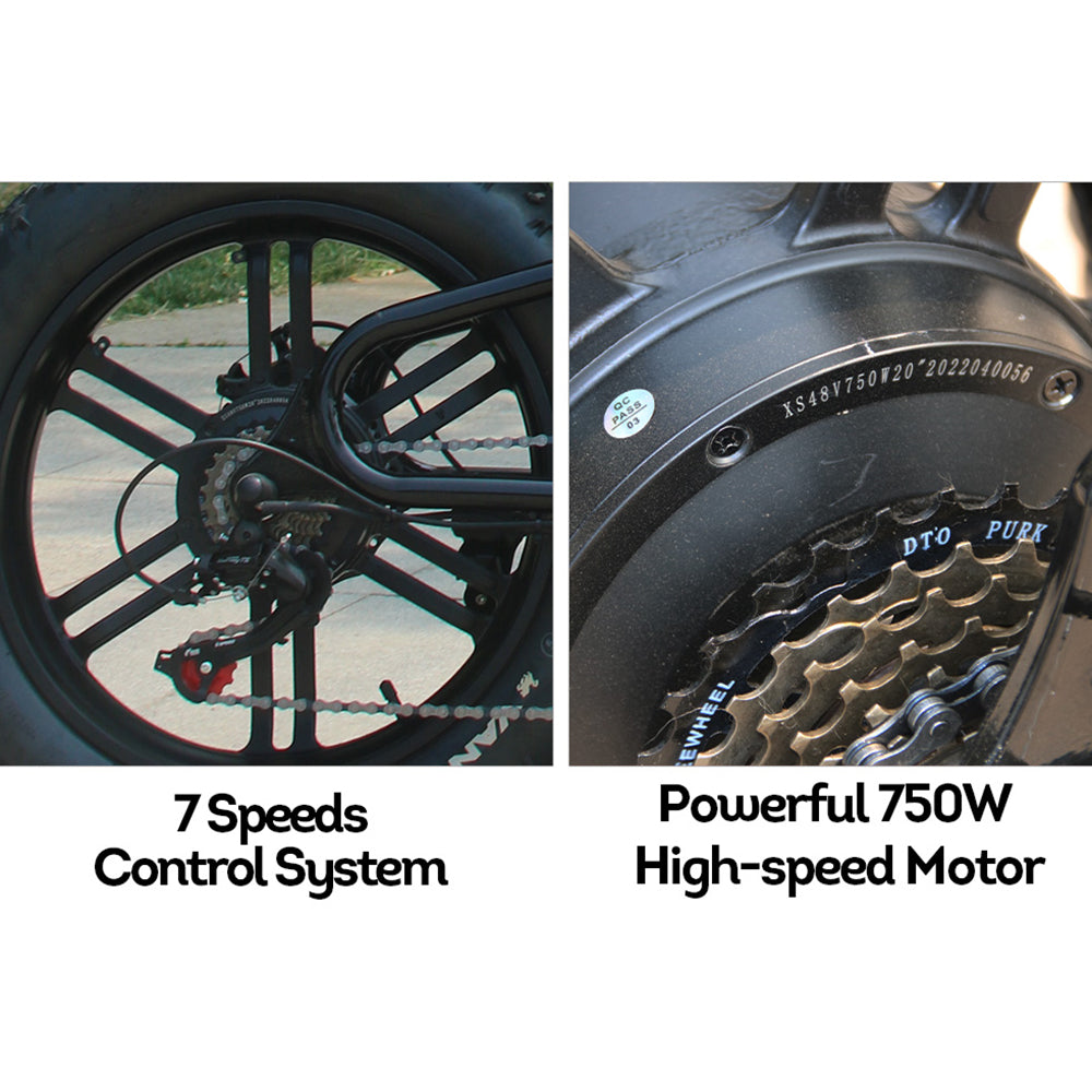 VOLTUS OSP 750W 48V 17.5Ah 20x4.0 Inches Electric Bike 7 Speeds Snow E-bike