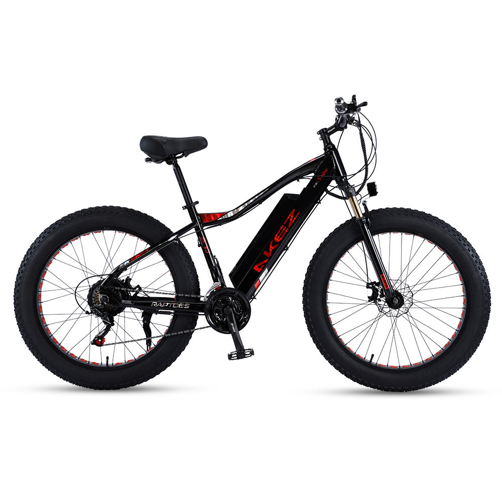 VOLTUS 750W 48V ML Snow Bicycle 26-inch Beach Electric Bike Motorized eBike Battery