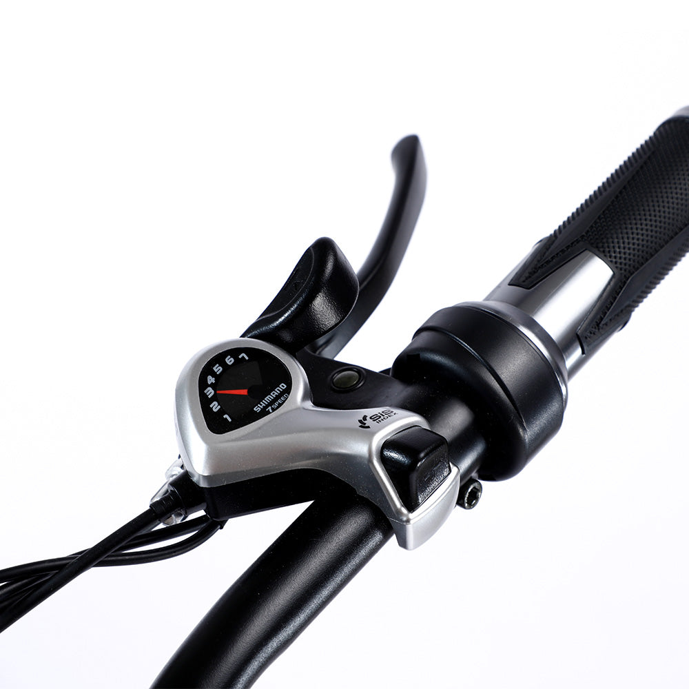 VOLTUS 750W 48V ML Snow Bicycle 26-inch Beach Electric Bike Motorized eBike Battery