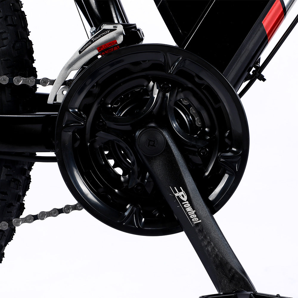 VOLTUS 750W 48V ML Snow Bicycle 26-inch Beach Electric Bike Motorized eBike Battery