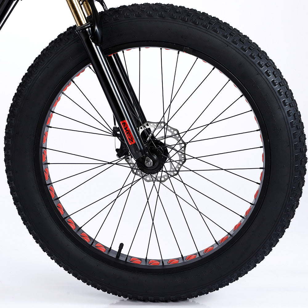 VOLTUS 750W 48V ML Snow Bicycle 26-inch Beach Electric Bike Motorized eBike Battery