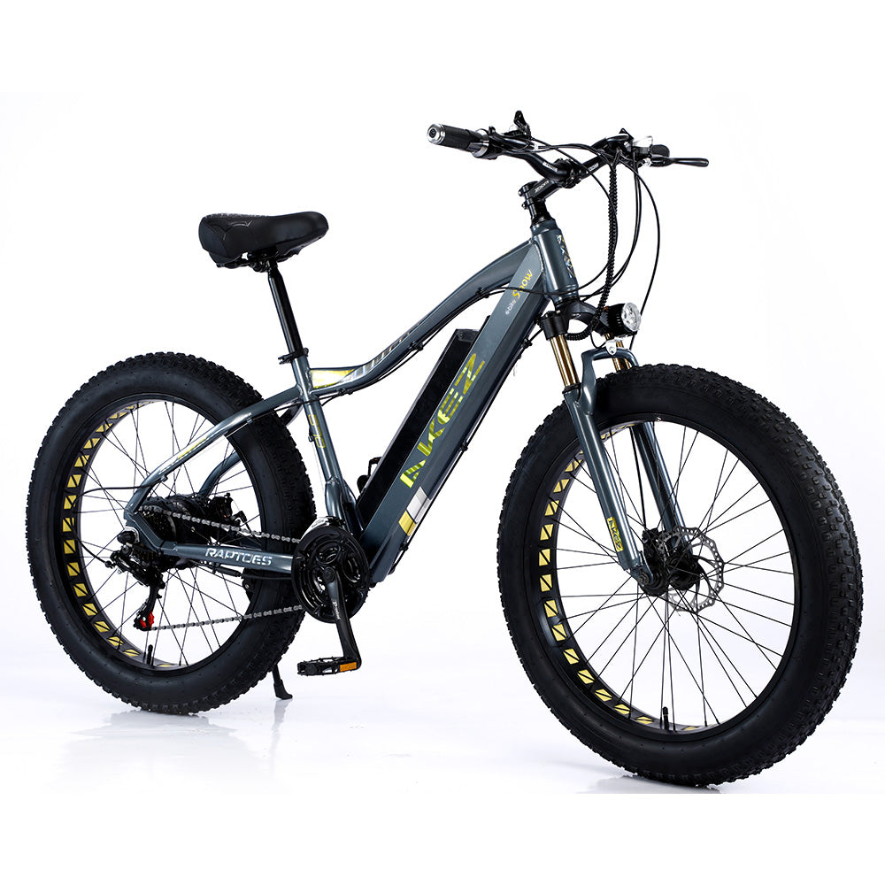 VOLTUS 750W 48V ML Snow Bicycle 26-inch Beach Electric Bike Motorized eBike Battery