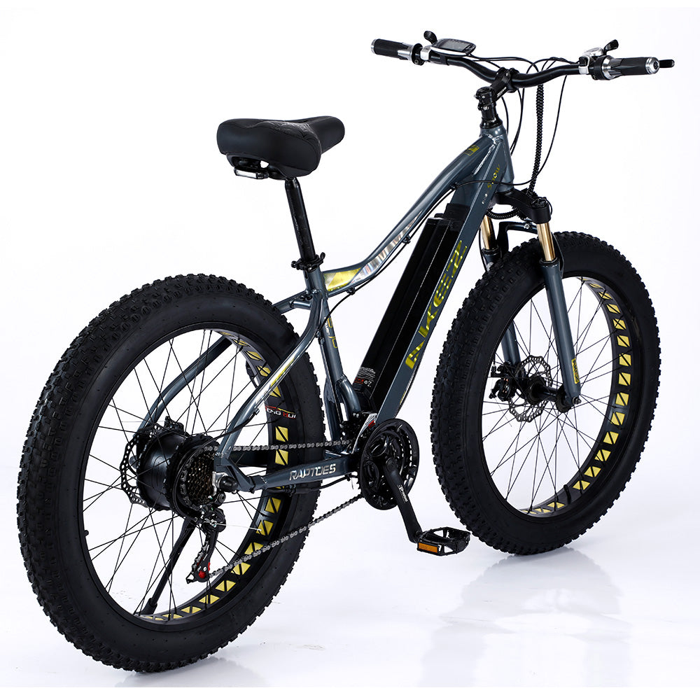 VOLTUS 750W 48V ML Snow Bicycle 26-inch Beach Electric Bike Motorized eBike Battery