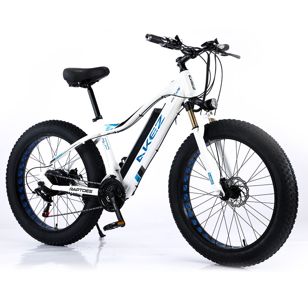 VOLTUS 750W 48V ML Snow Bicycle 26-inch Beach Electric Bike Motorized eBike Battery
