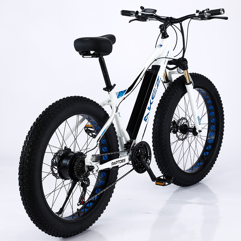 VOLTUS 750W 48V ML Snow Bicycle 26-inch Beach Electric Bike Motorized eBike Battery