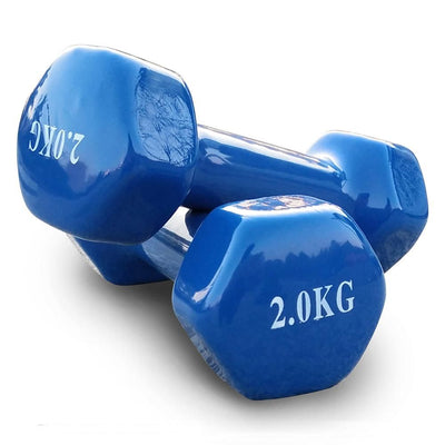 Hex Dumbell Coating Iron Dumbells Home Gym Weight Training Workout JMQ FITNESS