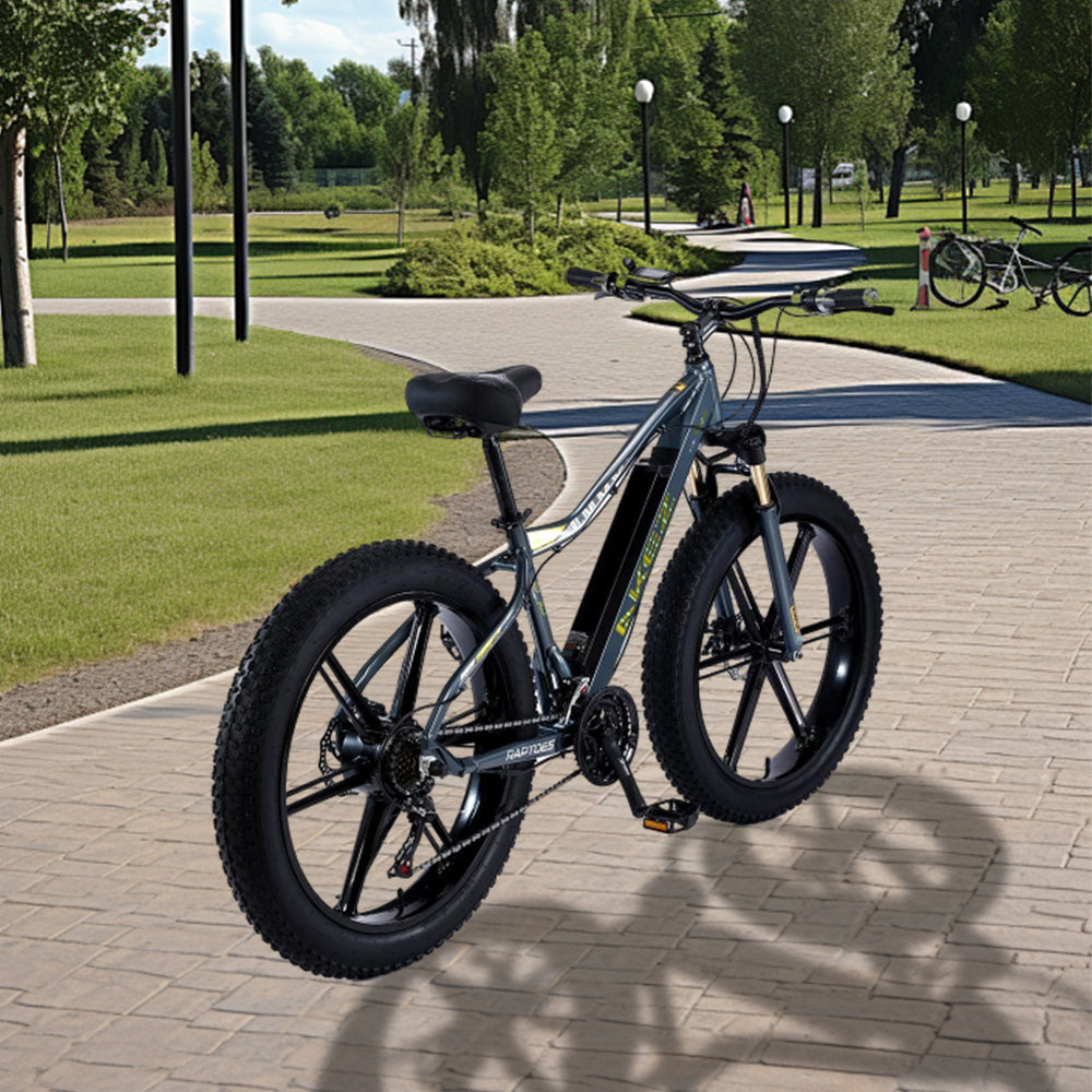 VOLTUS 750W 48V ML1P Snow Bicycle 26-inches Beach Electric Bike Motorized eBike Battery