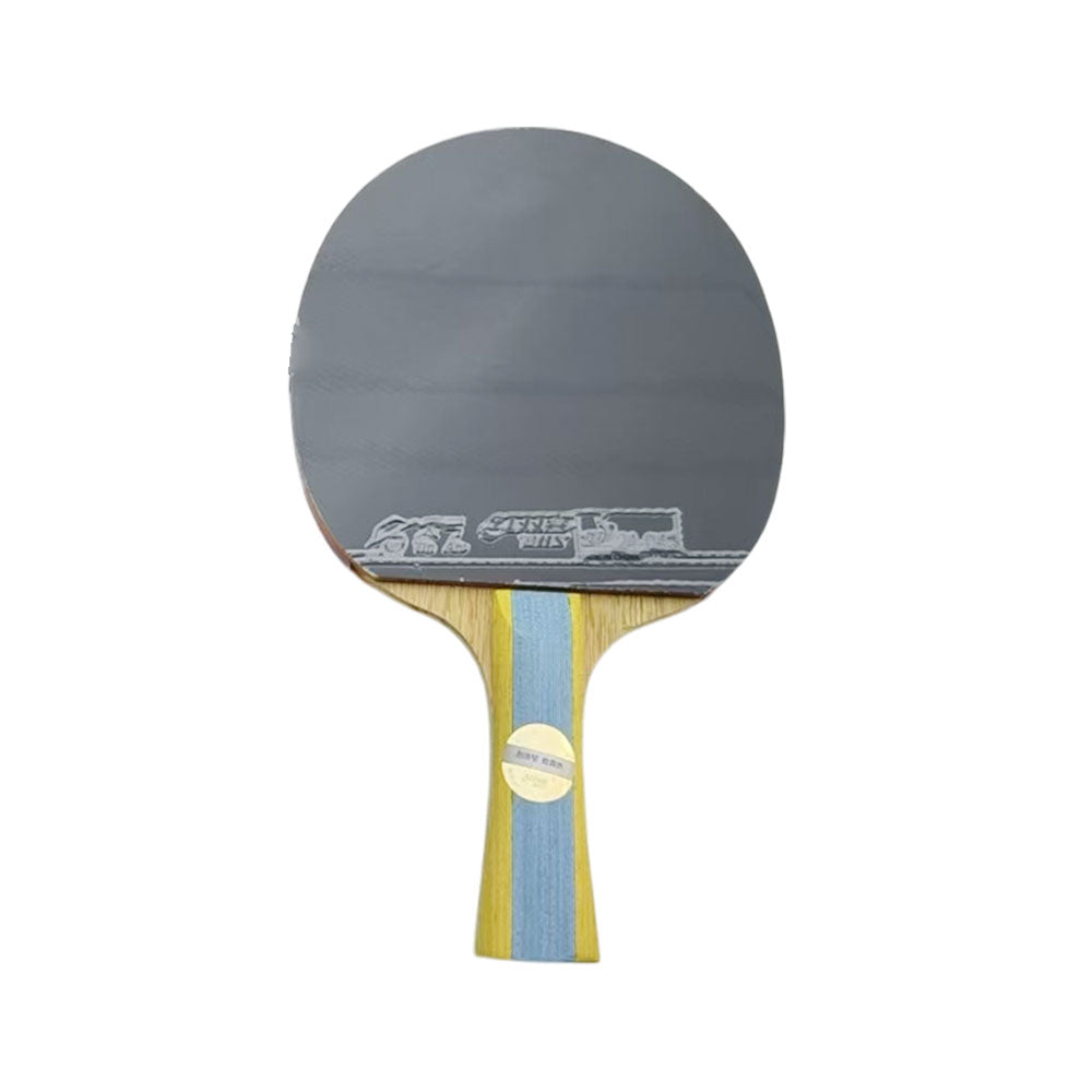 DHS Special 2*DHS6002 Pair 6 Star Table Tennis Bat Racket Ping Pong Free Bat Case