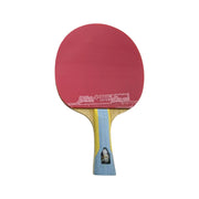 DHS Special 2*DHS6002 Pair 6 Star Table Tennis Bat Racket Ping Pong Free Bat Case