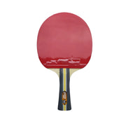 DHS Special 2*DHS3002 Pair 3 Star Table Tennis Bat / Ping Pong Racket Paddle Long Handle