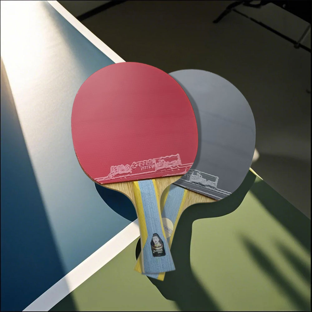 DHS Special 2*DHS6002 Pair 6 Star Table Tennis Bat Racket Ping Pong Free Bat Case